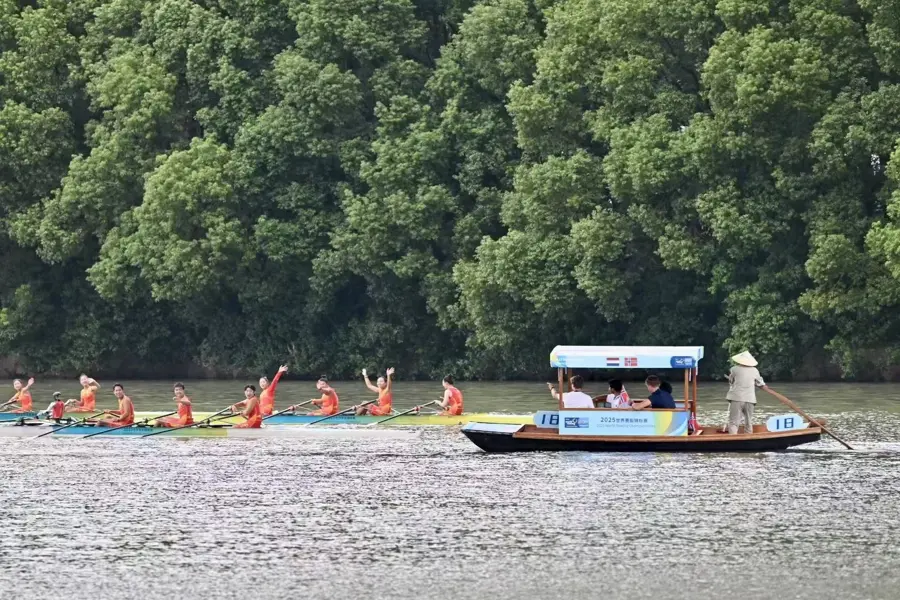 https, 高度, 育记忆