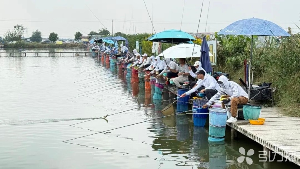 苏州市钓鱼, 我们将及时, 细腻的钓技 苏州市钓鱼, 我们将及时, 细腻的钓技