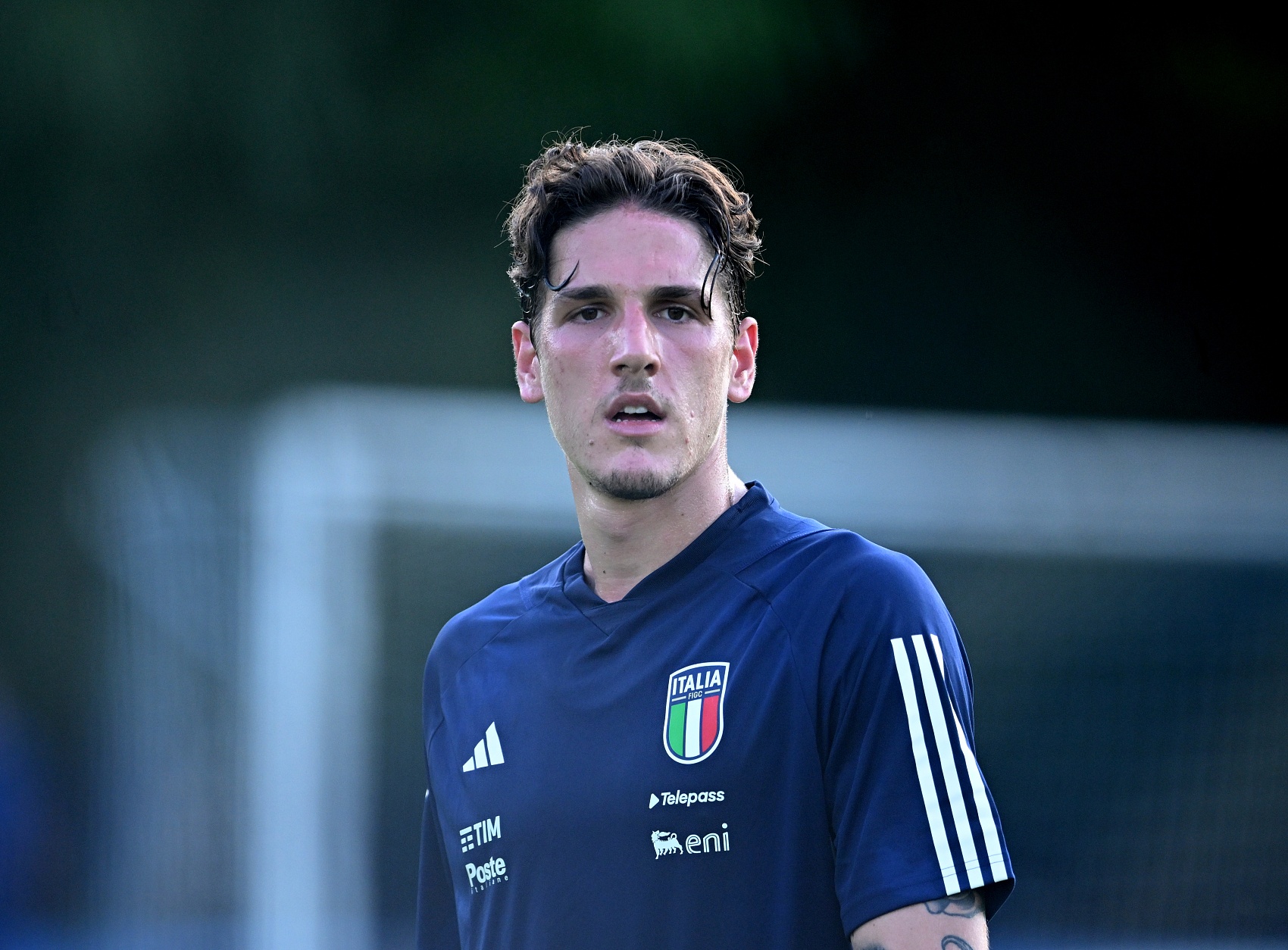 他们为了得 他们为了得